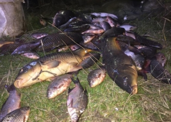 В унікальному ландшафтному заказнику на Тернопільщині господарюють браконьєри (фото)