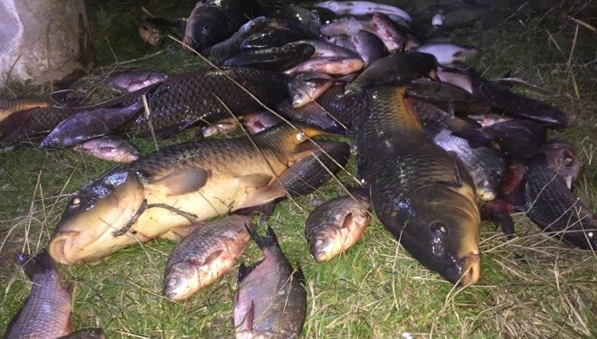 В унікальному ландшафтному заказнику на Тернопільщині господарюють браконьєри (фото)