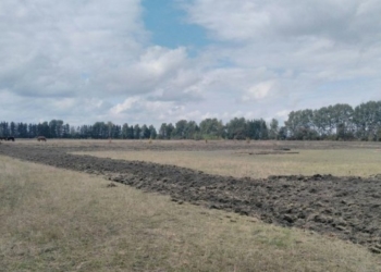 Неподалік Тернополя сьогодні зорали землю заради … музичного фестивалю (фотофакт)