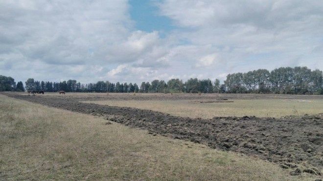 Неподалік Тернополя сьогодні зорали землю заради … музичного фестивалю (фотофакт)