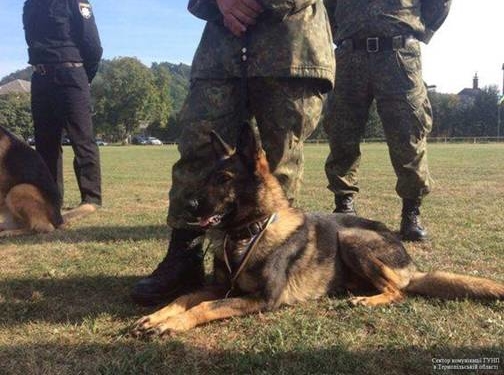 Кінолог з Тернопільщини разом з підопічною Еммою переміг полісменів з усієї України (фото)