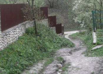 Погрози та скандали: на Тернопільщині “валютник” зі зв’язками не може вжитися з сусідами