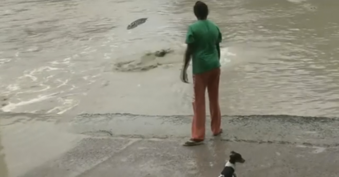 Вона не зрозуміла, наскільки небезпечною була її поведінка, – про сміливу жінку з Австралії та крокодила