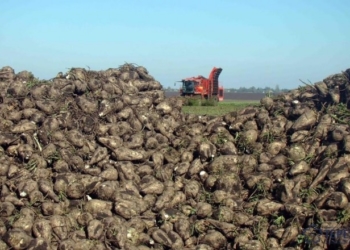 Незвичний чемпіонат провели на Тернопільщині