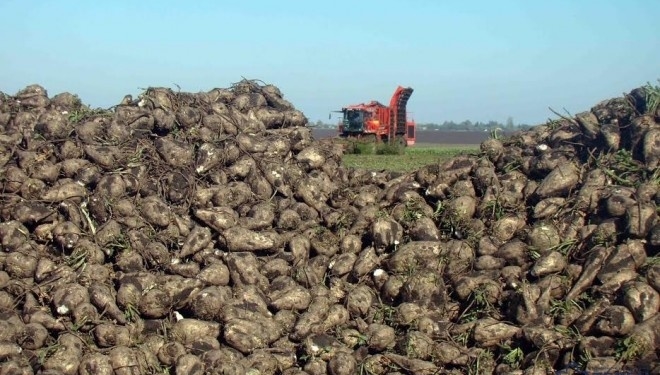 Незвичний чемпіонат провели на Тернопільщині