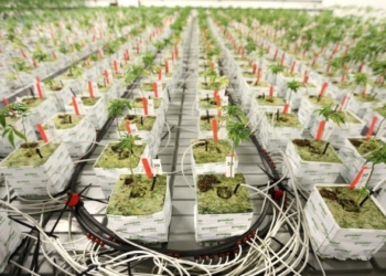 Те, чого навчатимуть студентів, викликає здивування