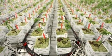 Те, чого навчатимуть студентів, викликає здивування