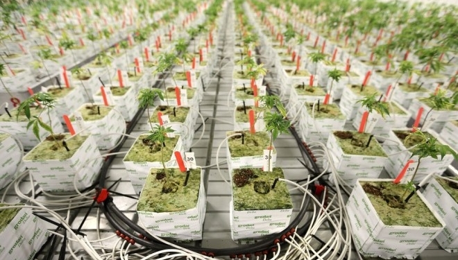 Те, чого навчатимуть студентів, викликає здивування