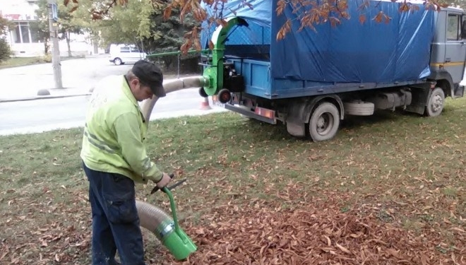 Опале листя у Тернополі будуть прибирати по-новому