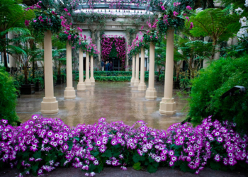 Тернопільські школярки підкорили всеукраїнських садівників своїми ідеями