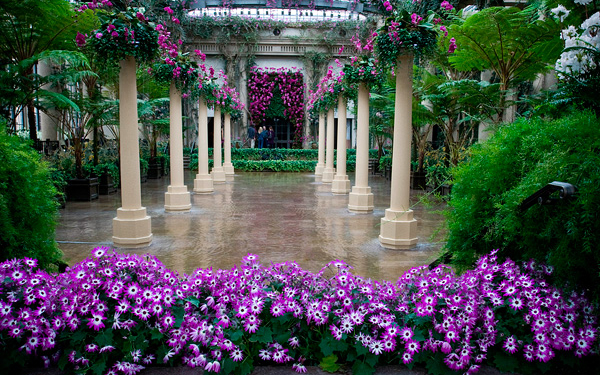 Тернопільські школярки підкорили всеукраїнських садівників своїми ідеями