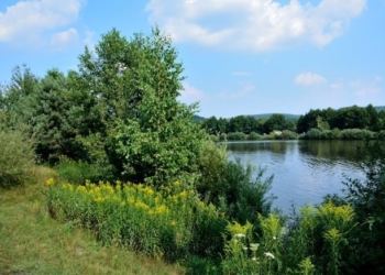 На Тернопільщині є село, де колись повстанцями керував “Хрін”