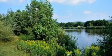 На Тернопільщині є село, де колись повстанцями керував “Хрін”