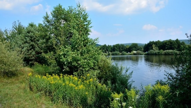 На Тернопільщині є село, де колись повстанцями керував “Хрін”