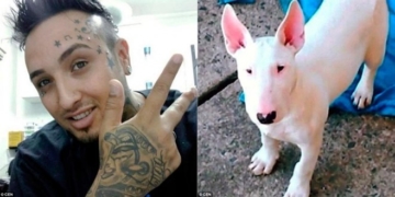 Ці фотографії вразили користувачів інтернету