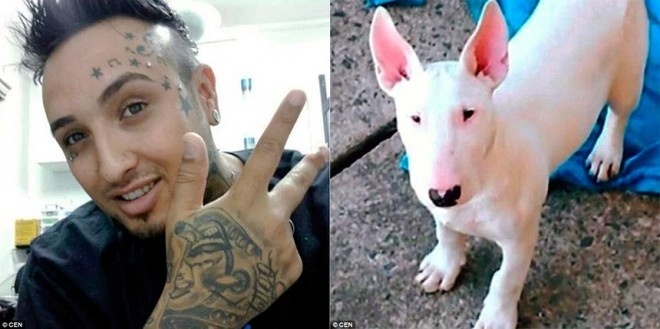 Ці фотографії вразили користувачів інтернету