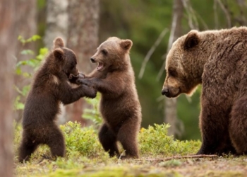 Тернополянам за ціною чашки кави покажуть дещо дуже повчальне