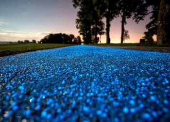 Створили першу велодоріжку з унікальним освітленням (фото)