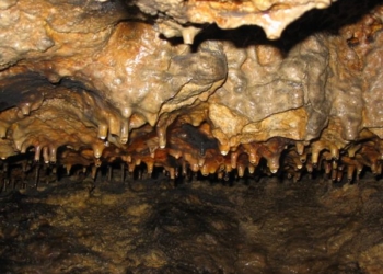 Як повстанці на Тернопільщині жили у печері