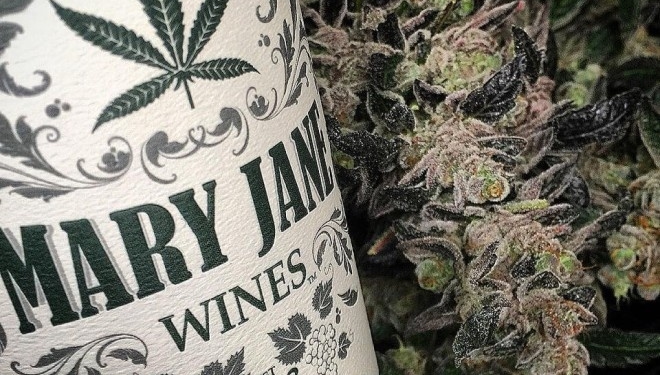 Хворим призначає лікар вино настояне на марихуані