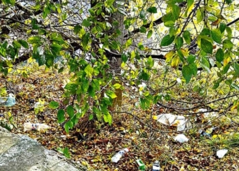 Як козацьке місто на Тернопільщині загубило свою славу (фотофакт)