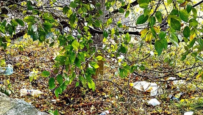 Як козацьке місто на Тернопільщині загубило свою славу (фотофакт)