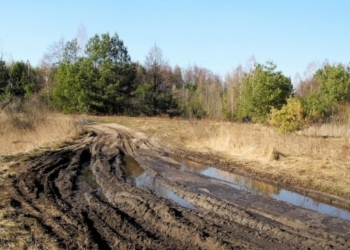 На Тернопільщині є така жахлива дорога, що аж водій автобуса зупиняється і засипає ями
