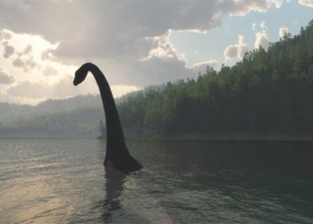 Чудовисько, яке пливе на воді зафіксували очевидці (ВІДЕО)