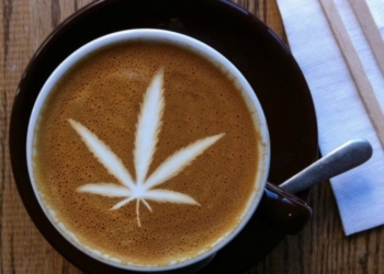 Страви і напої на основі конопель скоро продаватимуть у бар-магазині