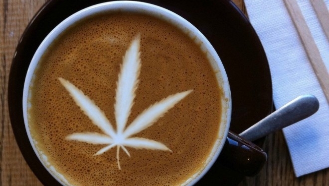 Страви і напої на основі конопель скоро продаватимуть у бар-магазині