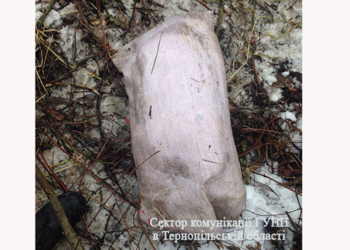 Резонансне вбивство на Тернопільщині вражає жорстокістю (фото)