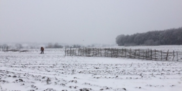 Що “плетуть” тернопільські дорожники?