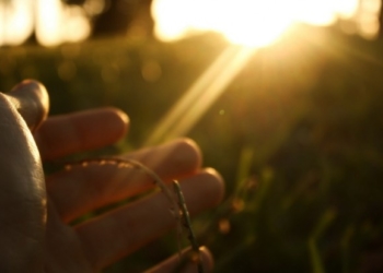 Як знайти дорогу до себе, або Чому не можна давати порад іншим?