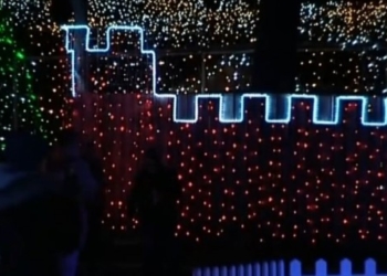 Чоловік до Різдва прикрасив свій дім і територію 2 мільйонами лампочок, створивши неймовірну красу (відео)