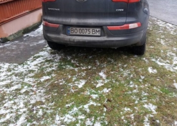 Цей припаркований автомобіль обурив людей (фото)