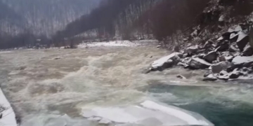 Пенсіонерку, яку шукали два тижні, знайшли мертвою