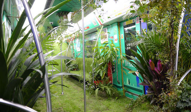 У цьому вагоні метро росте справжній ліс