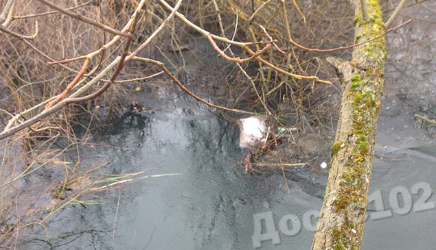 Тернопільщину сколихнула звістка про нелюдське вбивство та розчленування жінки