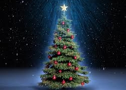 Ялинки у Тернополі будуть вартувати від 50 гривень