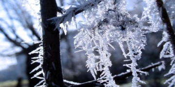 Тіло замерзлого чоловіка виявили неподалік його дому