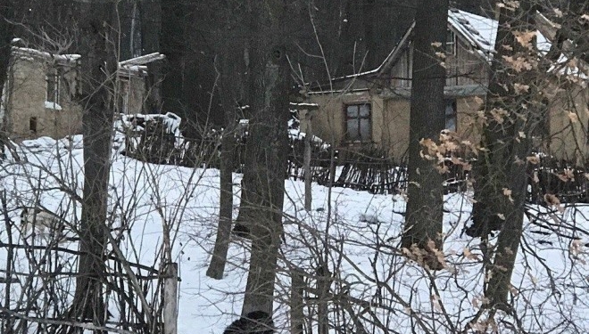Тернополяни розшукали хутір і собак, які загризли стару жінку (фото)