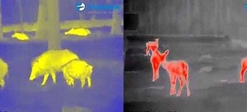 Тернополян просять “скинутися” 80 тисяч гривень на благу ціль