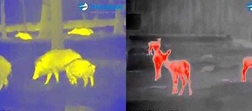 Тернополян просять “скинутися” 80 тисяч гривень на благу ціль