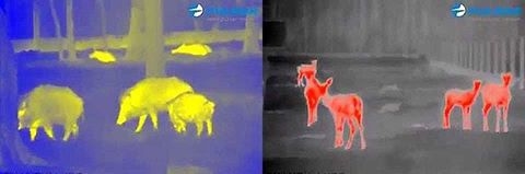 Тернополян просять “скинутися” 80 тисяч гривень на благу ціль