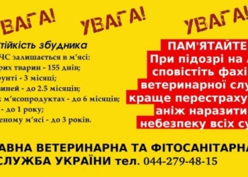 На Тернопільщині у трьохкілометровій зоні збираються знищити усіх свиней