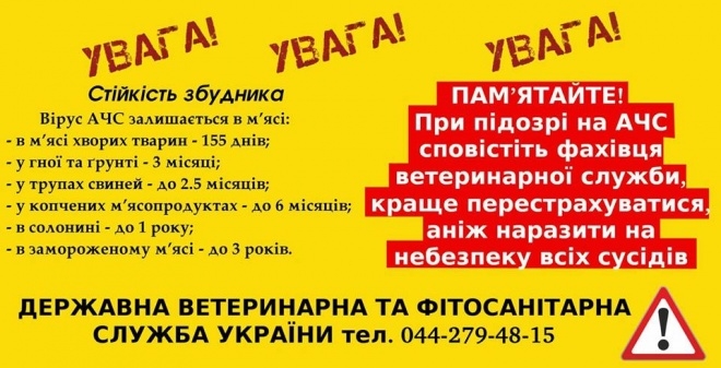 На Тернопільщині у трьохкілометровій зоні збираються знищити усіх свиней