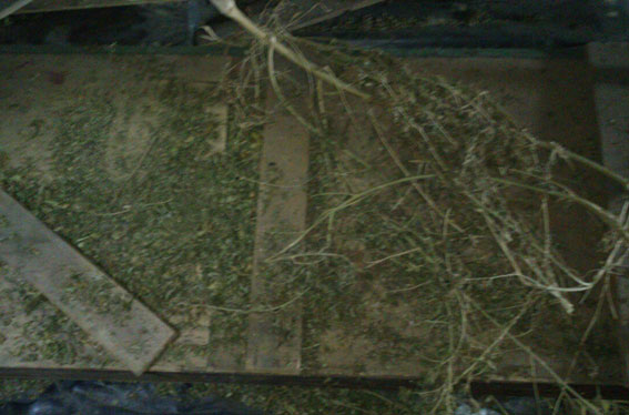 У центральній Україні спіймали наркодилера з кілограмами наркотиків