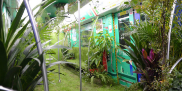 У цьому вагоні метро росте справжній ліс