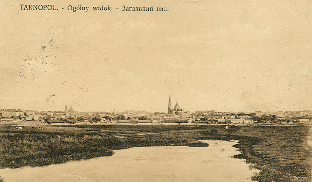 Неймовірне фото старовинного Тернополя, якого ви ще не бачили (фото)