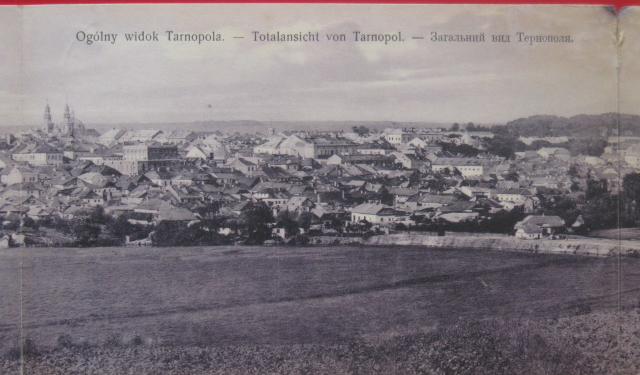 У мережі показали унікальну світлину, яким був тернопільський став два століття тому